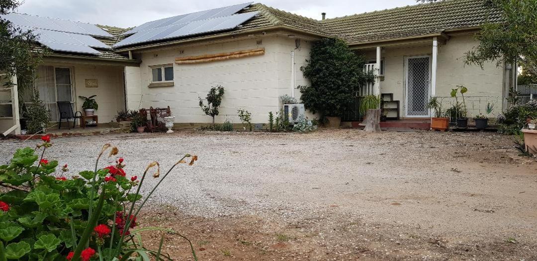 Unit In Marion Apartment Sturt Exterior foto